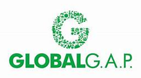 Global-Gap